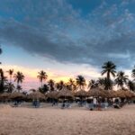 Idyllic tropical beach with palm trees at sunset in Bávaro, perfect for relaxation and vacation.