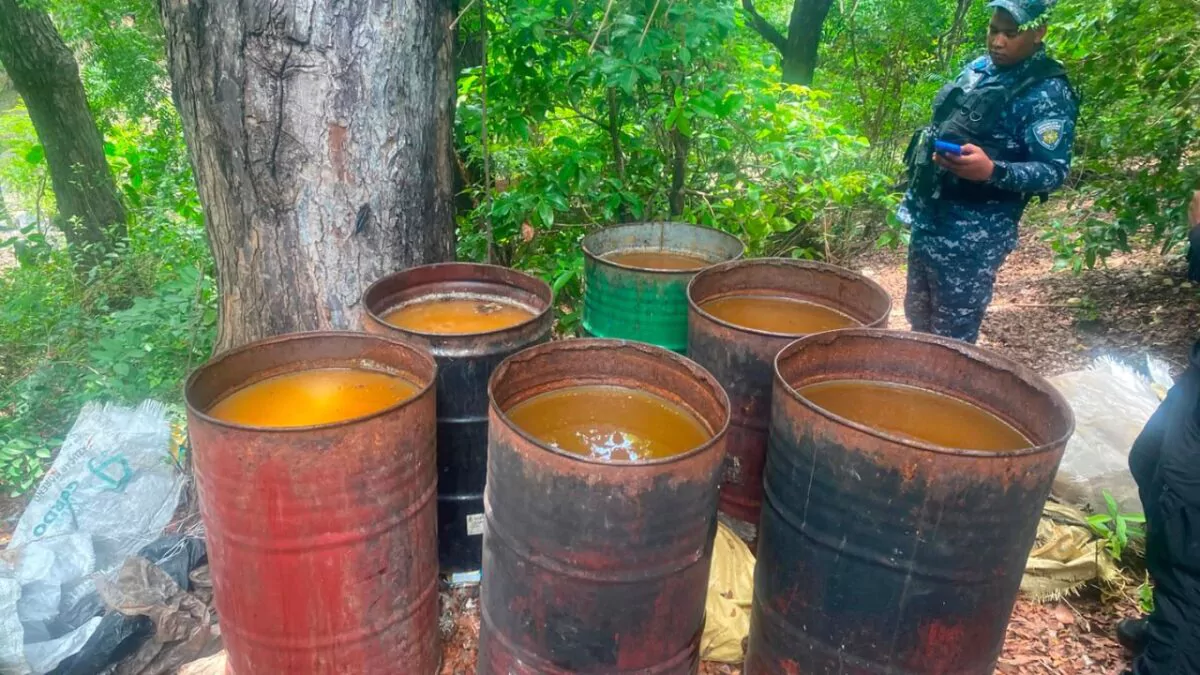 desmantelan en azua fabrica clandestina con mas de 25 mil litros de alcohol adul 20260703 134023 epag 1200x675 (1)