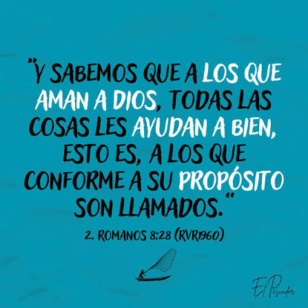 images (10)