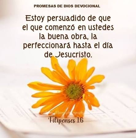 images (2)